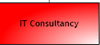 IT Consultancy 